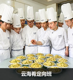 云海肴定向班